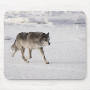 Wolf läuft im Schnee Mousepad