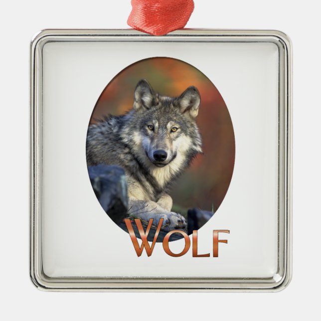 Wolf Liebhaber Kunst Silbernes Ornament (Vorne)