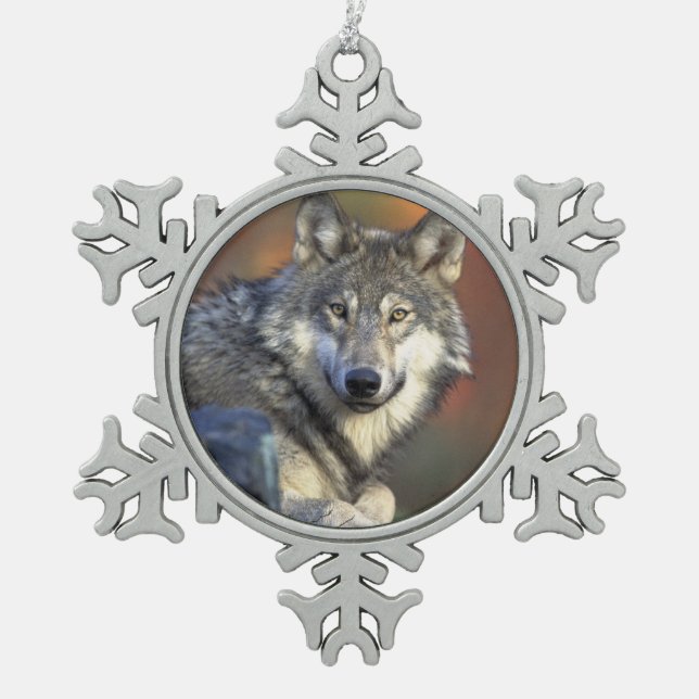 Wolf liebt Weihnachten Schneeflocken Zinn-Ornament (Vorderseite)