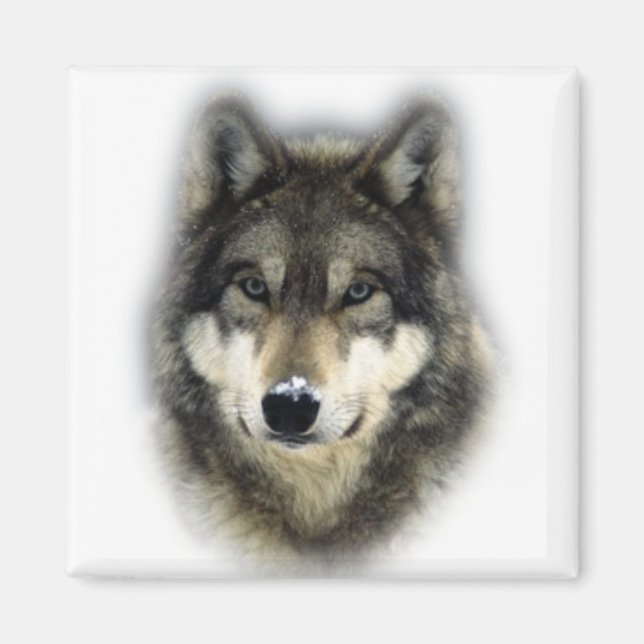 Wolf Magnet (Vorne)