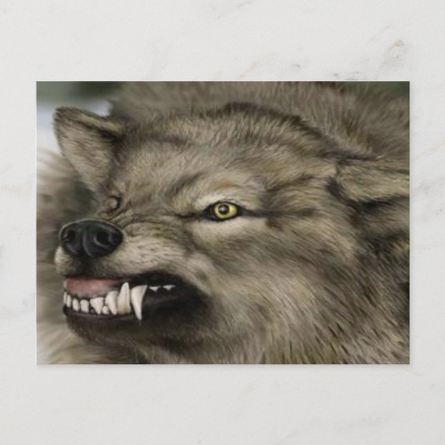 Wolf mit den Zähnen draußen Postkarte (Vorderseite)