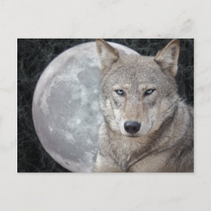 Wolf Moon Postcard Postkarte