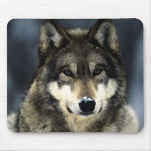 Wolf Mousepad