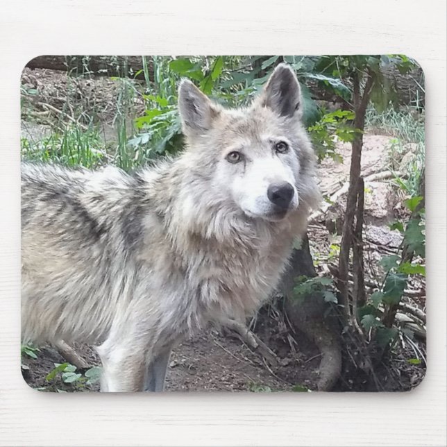 Wolf Mousepad (Vorne)