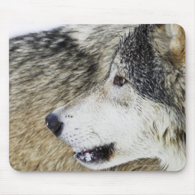 Wolf Mousepad (Vorne)