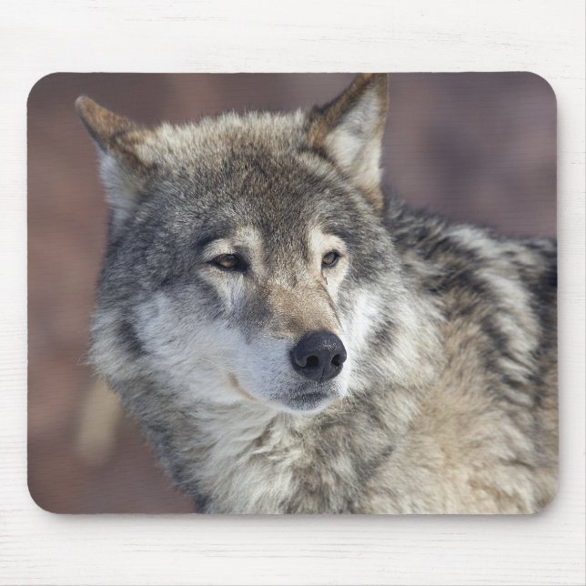 Wolf Mousepad (Vorne)