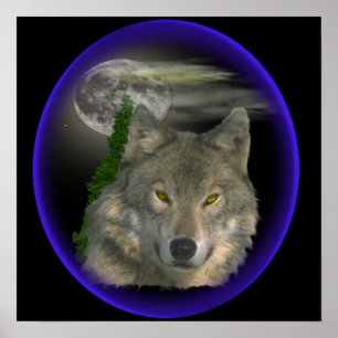 Wolf nachts poster