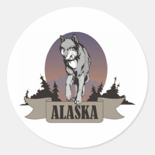 Wolf oder Kojote unter Kiefern in Alaska Runder Aufkleber