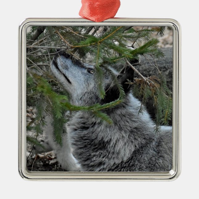 Wolf Ornament Aus Metall (Vorne)