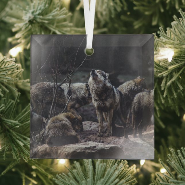 Wolf Pack Ornament Aus Glas (Insitu)
