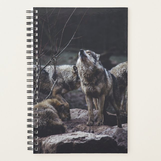 Wolf Pack Planer (Vorderseite)