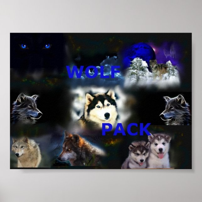 Wolf Pack poster (Vorne)