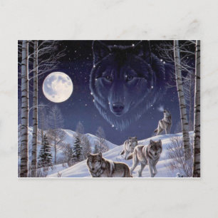 Wolf Pack Postkarte