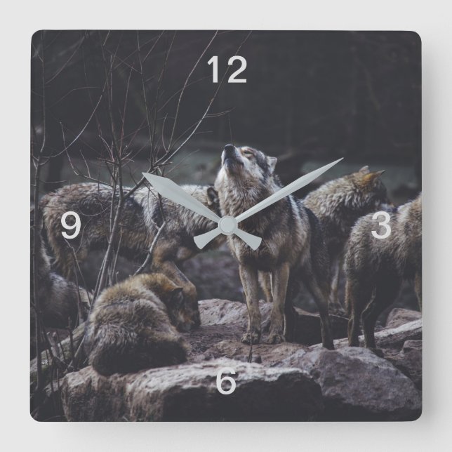 Wolf Pack Quadratische Wanduhr (Vorderseite)