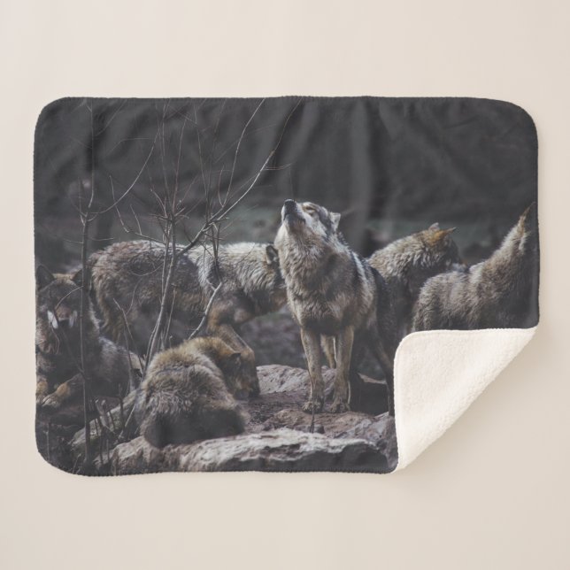 Wolf Pack Sherpadecke (Vorderseite (Horizontal))
