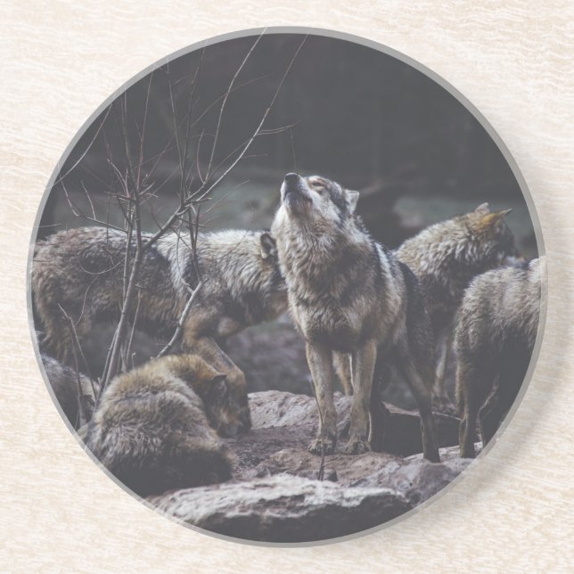 Wolf Pack Untersetzer (Vorne)