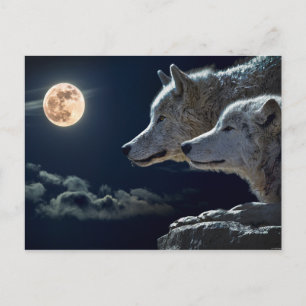 Wolf Pair Moon Night Gothic Fantasy Postkarte