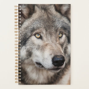 Wolf Planner Planer