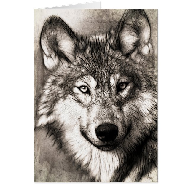 Wolf-Portrait (Vorne)