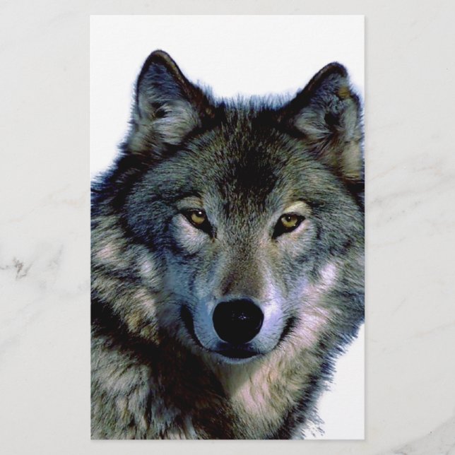 Wolf Portrait Briefpapier (Vorderseite)