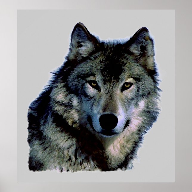 Wolf Portrait Poster (Vorne)