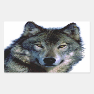 Wolf Portrait Rechteckiger Aufkleber
