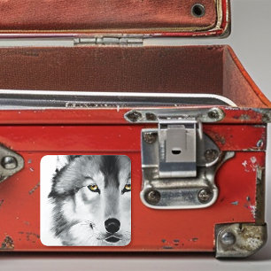 Wolf Portrait Schwarz-weiß Quadratischer Aufkleber