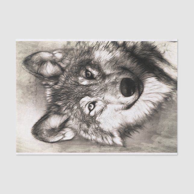Wolf-Portrait Seidenpapier (Vorderseite)