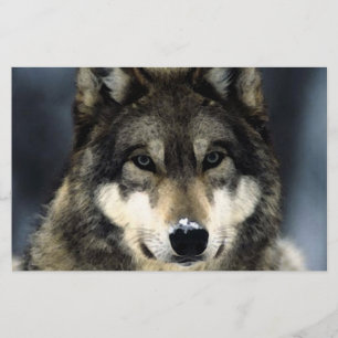 Wolf Portrait Stationery Briefpapier