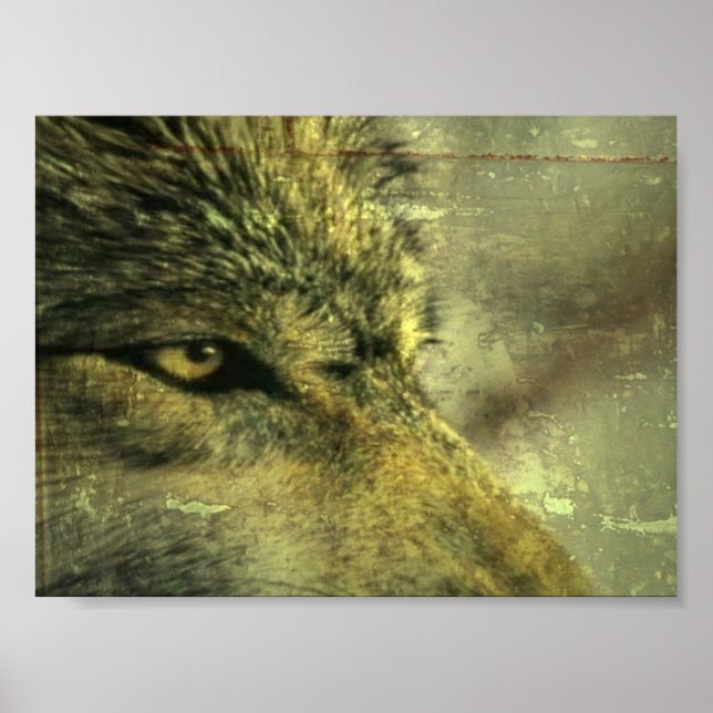 Wolf Poster (Vorne)