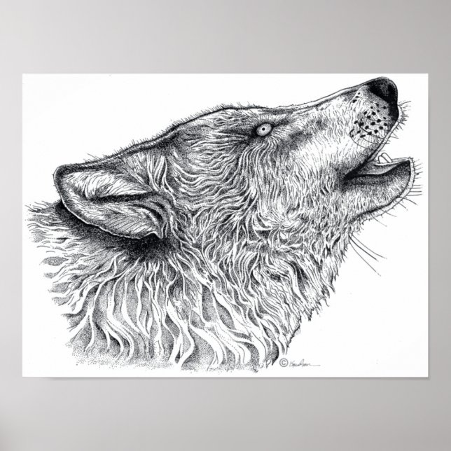 Wolf Poster (Vorne)