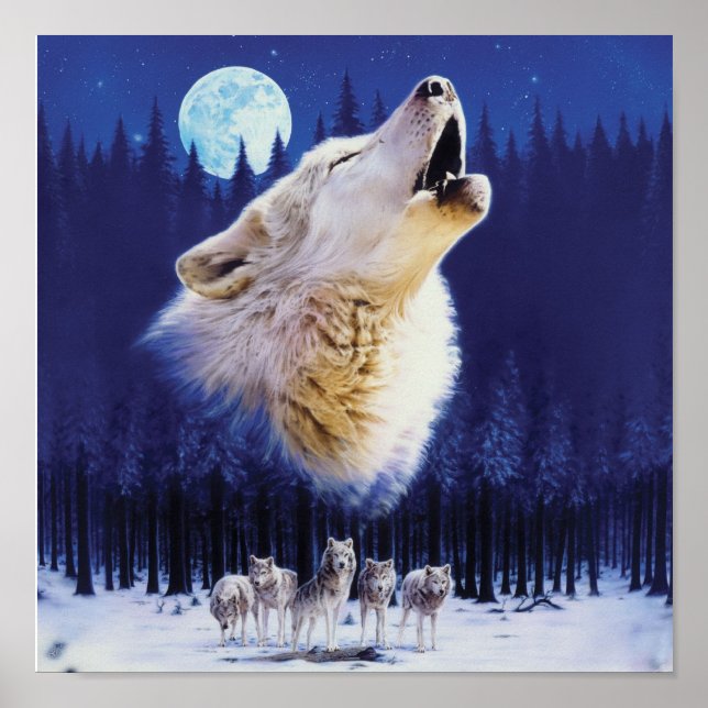 Wolf Poster (Vorne)