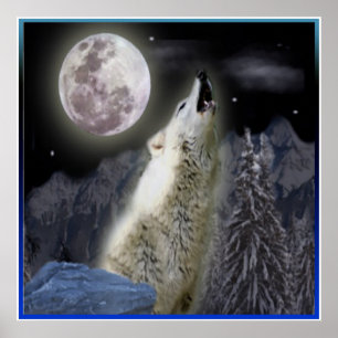 Wolf Posters Poster