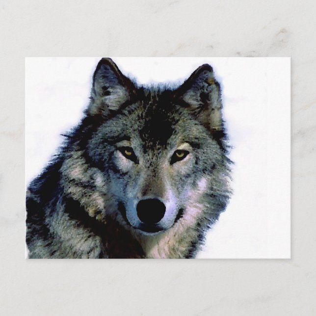 Wolf Postkarte (Vorderseite)
