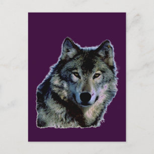 Wolf Postkarte
