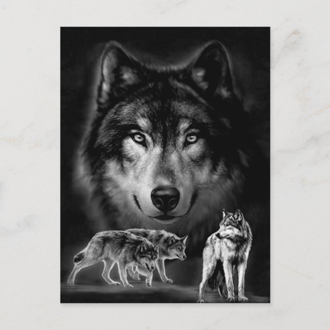 Wolf Postkarte (Vorderseite)