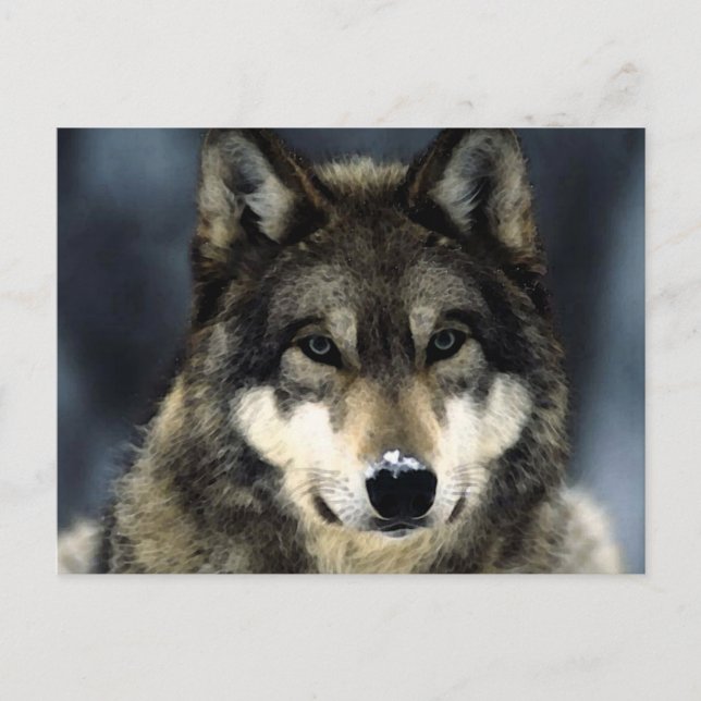 Wolf Postkarte (Vorderseite)