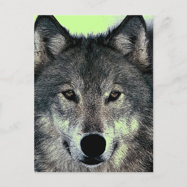 Wolf Postkarte (Vorderseite)