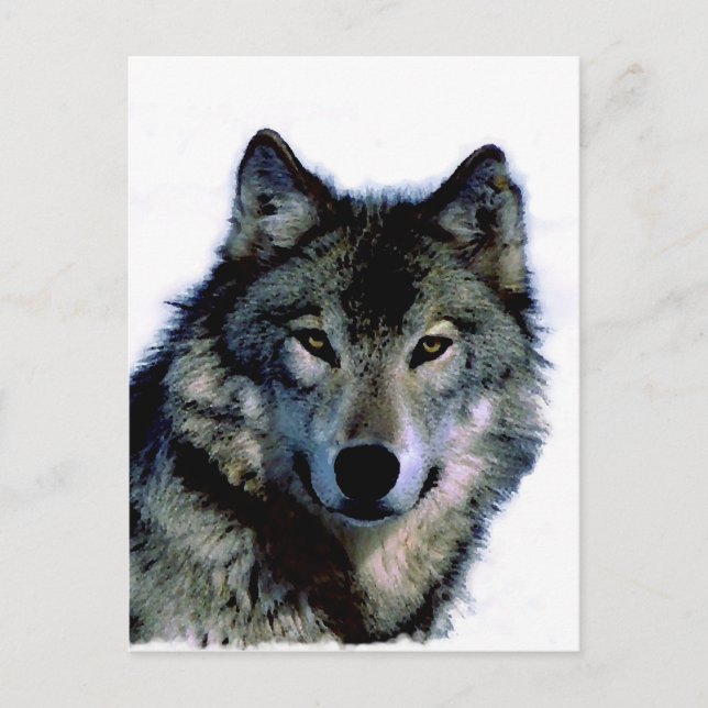 Wolf Postkarte (Vorderseite)