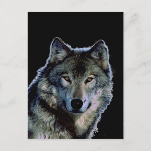 Wolf Postkarte