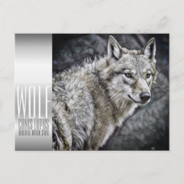 Wolf [Postkarte] Postkarte
