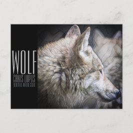 Wolf [Postkarte] Postkarte