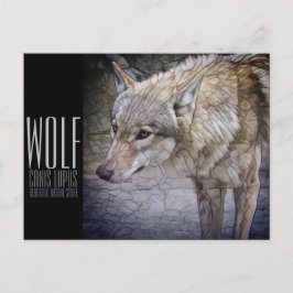 Wolf [Postkarte] Postkarte