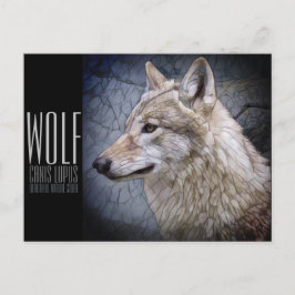 Wolf [Postkarte] Postkarte