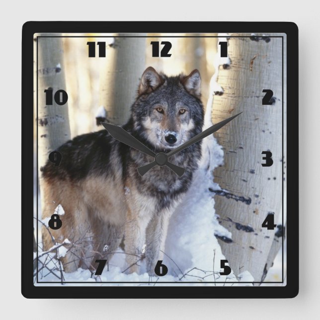 Wolf Quadratische Wanduhr (Vorderseite)