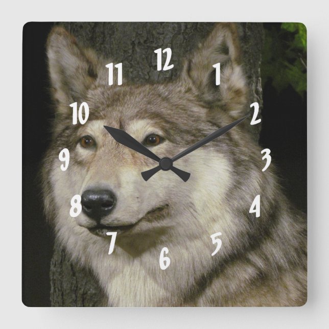Wolf Quadratische Wanduhr (Vorderseite)