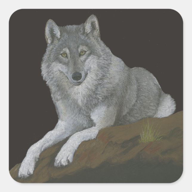 Wolf Quadratischer Aufkleber (Vorderseite)