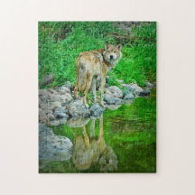 Wolf-Reflektion, Grenzgewässer, Minnesota