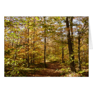 Wolf Rocks Trail im Herbst Pennsylvania Landschaft