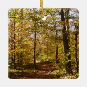 Wolf Rocks Trail im Herbst Pennsylvania Landschaft Keramikornament